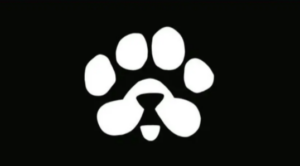 PAWS Listing in 24H! Don't Miss Your Final Prep Checklist!